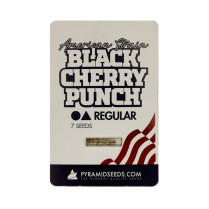 Black Cherry Punch Regular