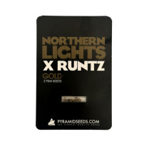 Northern Lights x Runtz