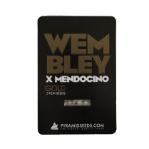 Wembley x Mendocino