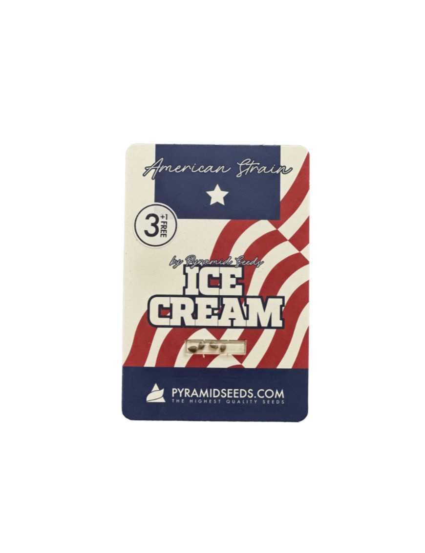 Ice Cream – genética americana com alto THC | Pyramid Seeds