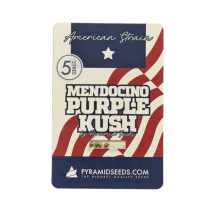 Mendocino Purple Kush