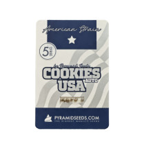 Auto Cookies USA