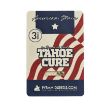 Tahoe Cure