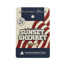 Sunset Sherbet