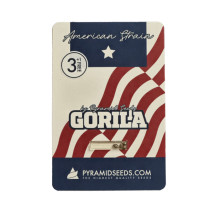 Gorila