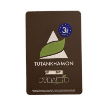 Tutankhamon
