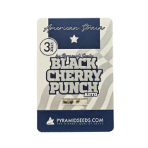 Auto Black Cherry Punch