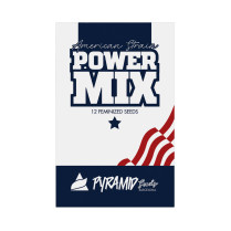 Power Mix American — pack semillas feminizadas Gelato Gorila Cookies