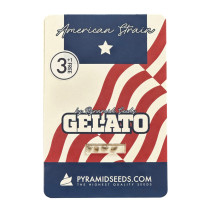 Gelato