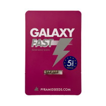 Galaxy Fast