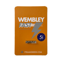 Wembley Fast