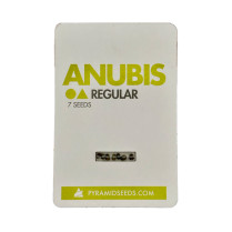Anubis Regular