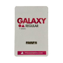 Galaxy Regular