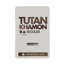 Tutankhamon Regular