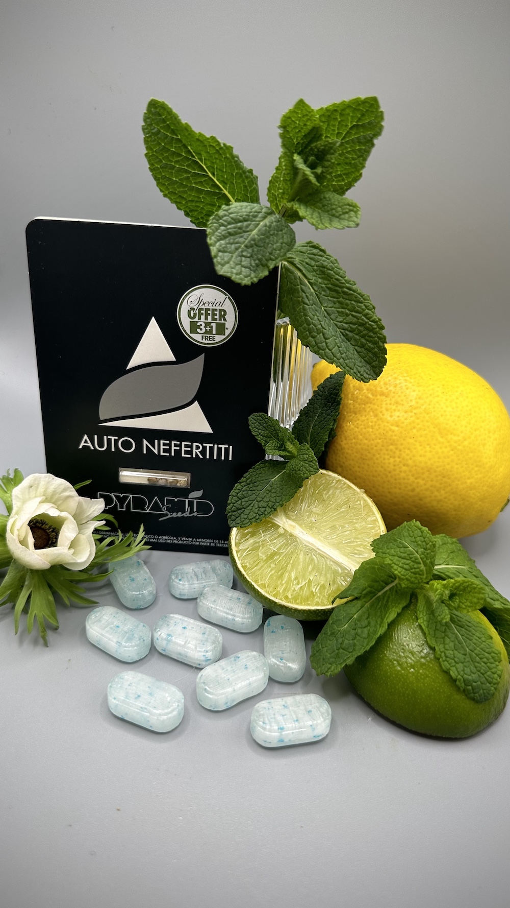 Nefertiti Auto — versión autofloreciente derivada de la línea White Widow con abundantes tricomas blancos