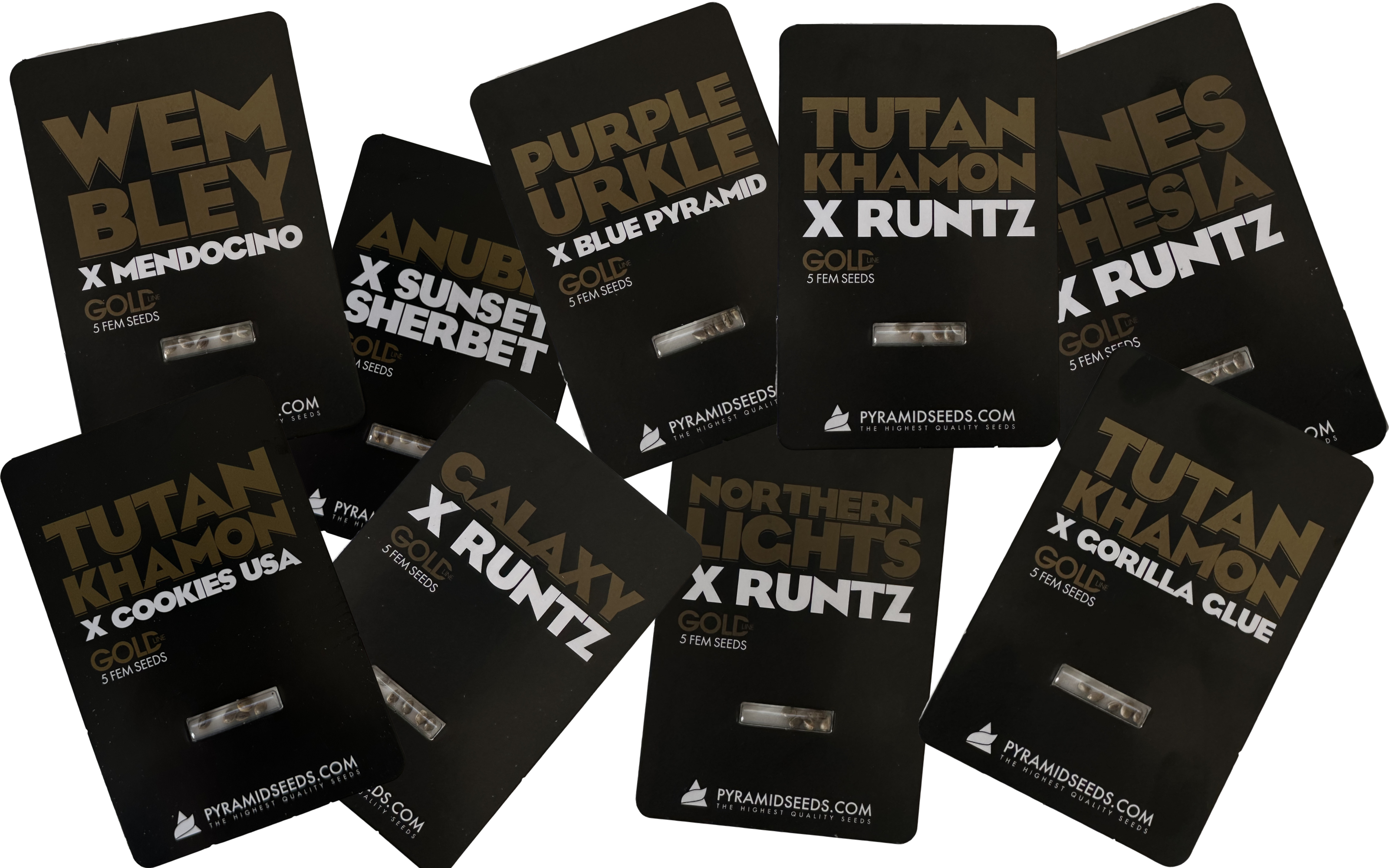 Gold Line Pyramid Seeds