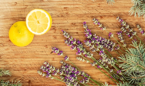 Variedades de cannabis da Pyramid Seeds com aromas intensos e perfis de terpenos