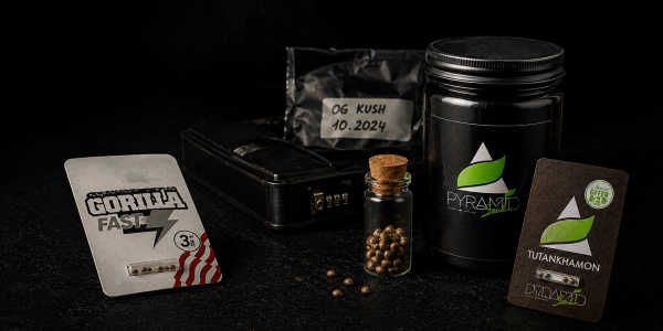 Guía definitiva para conservar semillas de cannabis: Consejos de expertos de Pyramid Seeds