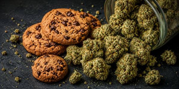 Varietà di Cannabis Cookies: Guida genetica completa di Pyramid Seeds