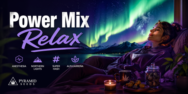 Power Mix Relax: Semillas índicas Northern Lights, Anesthesia y otras para una relajación profunda