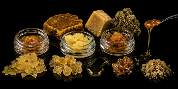 Extracción de cannabis: mejores variedades y métodos