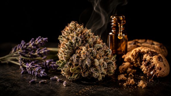 Do-Si-Dos: genética, THC y efecto de la variedad