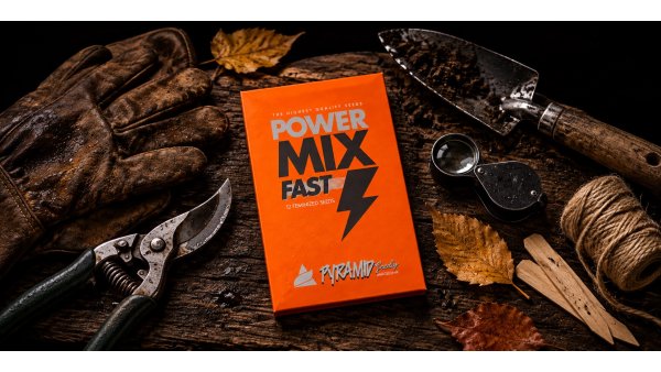 Semillas Fast Version para exterior: cuatro variedades, cuatro cosechas