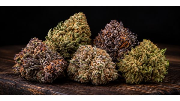 Best Weed Strains 2026: Top 10 Cannabis Strains Compared